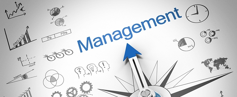 sstn_management_960.jpg